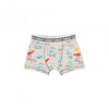SET 3 BOXER DINOSAURIOS ROPA INTERIOR NIÑO BOBOLI